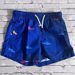 Maamgic Boys Toddler Blue Shark Swim Trunks Size 3T